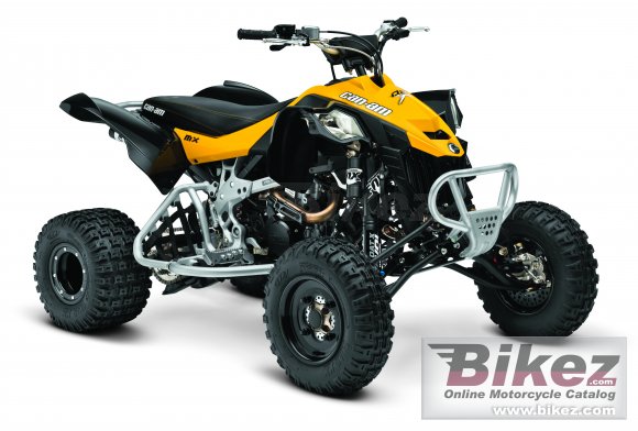 Can-Am DS 450 X mx