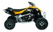 Can-Am DS 450 X mx