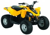 Can-Am_DS_90_2010