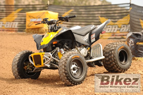 Can-Am DS 90 X