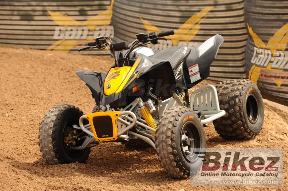 Can-Am DS 90 X