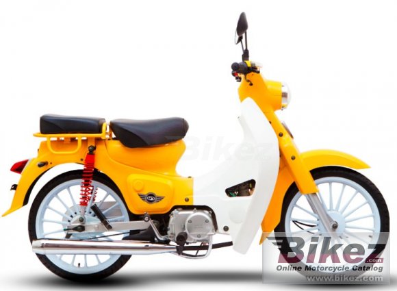 Demak Eco 110