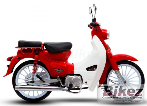 Demak Eco 110