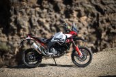 Ducati_DesertX_937_Rally_2025