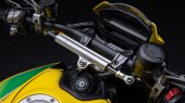 Ducati Monster Senna