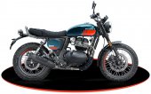 Enfield Bear 650 