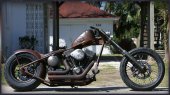Exile_Cycles_Brown_Pearl_2010