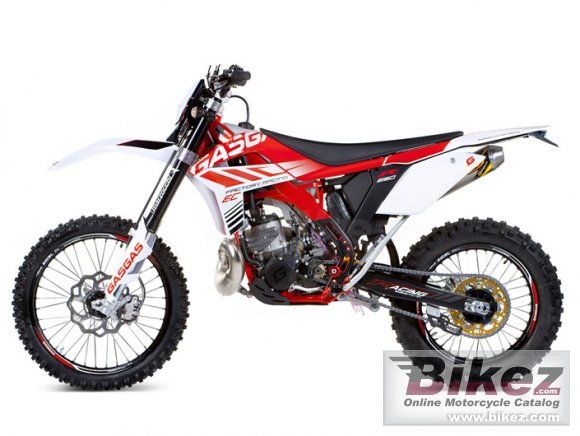 GAS GAS EC 300 Racing