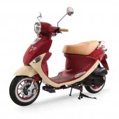 Genuine_Scooter_Buddy_170i_2025