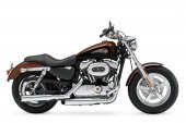 Harley-Davidson 1200 Custom 110th Anniversary