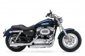Harley-Davidson_1200_Custom_110th_Anniversary_2013