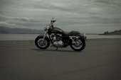 Harley-Davidson_1200_Custom_110th_Anniversary_2013