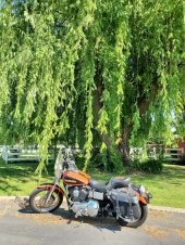 Harley-Davidson_Dyna_Low_Rider_2001