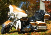 Harley-Davidson_Electra_Glide_Ultra_Classic_1994