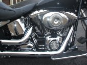 Harley-Davidson_FLSTN_Softail_Deluxe_2008