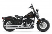 Harley-Davidson_FLSTSB_Softail_Cross_Bones_2008