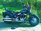 Harley-Davidson_FLSTSB_Softail_Cross_Bones_2009