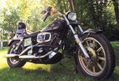 Harley-Davidson_FXB_1340_Sturgis_1982