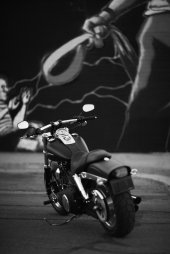 Harley-Davidson_FXDF_Fat_Bob_2010