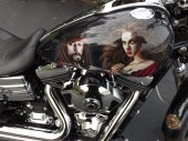 Harley-Davidson_FXDL_Dyna_Low_Rider_2007
