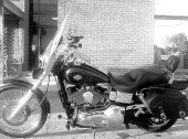 Harley-Davidson_FXDWGI_Dyna_Wide_Glide_2004