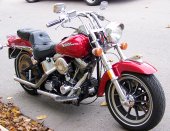 Harley-Davidson FXST 1340 Softail