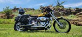 Harley-Davidson FXST Softail Standard