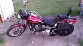 Harley-Davidson_FXSTC_1340_Softail_Custom_1989