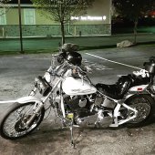 Harley-Davidson_FXSTC_1340_Softail_Custom_1987