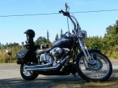 Harley-Davidson_FXSTS_Springer_Softail_2003
