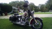 Harley-Davidson_FXSTS_Springer_Softail_2000