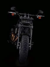 Harley-Davidson_Fat_Bob_114_2021