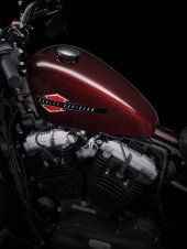 Harley-Davidson_Forty-Eight_2021