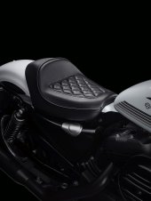 Harley-Davidson_Iron_1200_2021