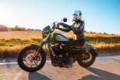 Harley-Davidson_Iron_1200_2021