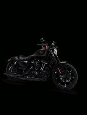 Harley-Davidson_Iron_883_2021