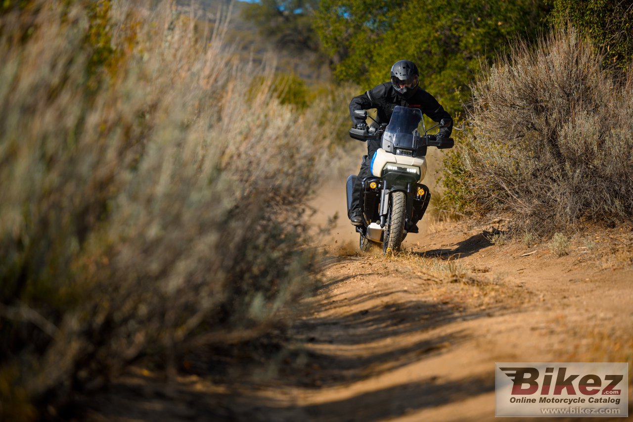 Harley-Davidson Pan America 1250 Special