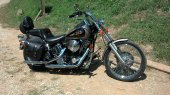 Harley-Davidson_Softail_Custom_1997