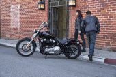 Harley-Davidson_Softail_Standard_2021