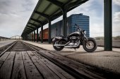 Harley-Davidson_Sportster_1200_Custom_2018