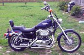 Harley-Davidson_Sportster_1200_Custom_1999