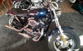 Harley-Davidson_Sportster_1200_Custom_2013