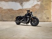 Harley-Davidson_Sportster_Forty-Eight_2016