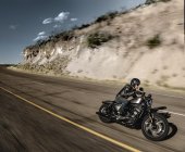 Harley-Davidson_Sportster_Iron_883_2017