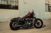 Harley-Davidson_Sportster_Iron_883_2017