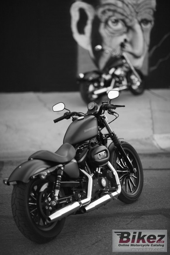 Harley-Davidson Sportster XL 883N Iron 883