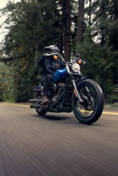Harley-Davidson_Street_Bob_114_2024