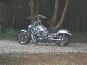Harley-Davidson_VRSCA_V-Rod_2003