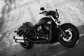 Harley-Davidson_VRSCDX_Night_Rod_Special_2010