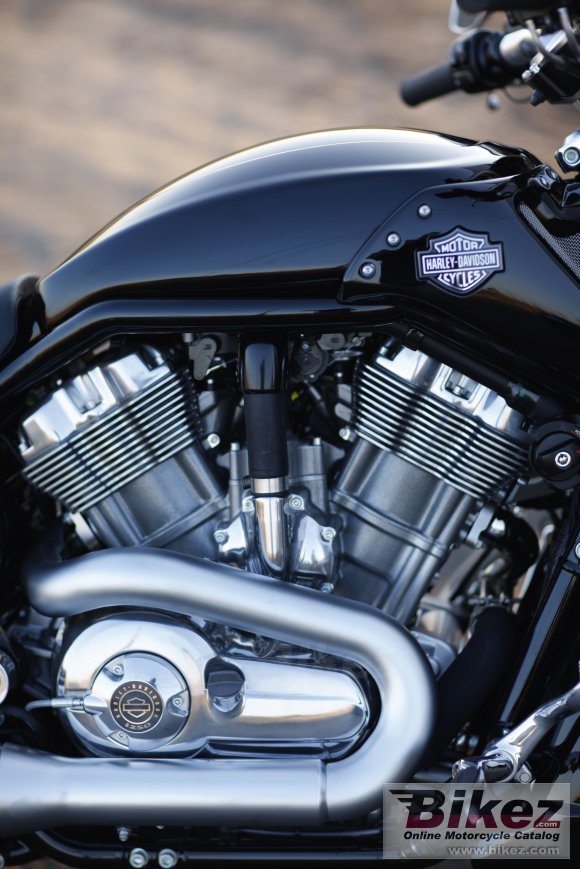 Harley-Davidson VRSCF V-Rod Muscle